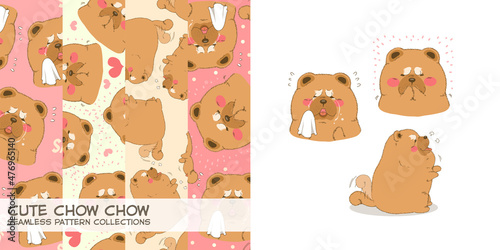 Background and character of cute chow chow dog
