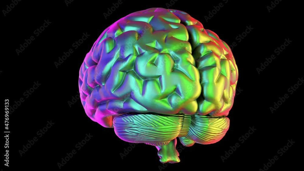 Colorful brain rotating - 3d render looped with alpha channel.