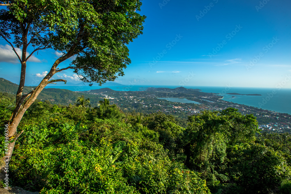 Natural background with a walkway to see the scenery all around, overlooking the sea, trees, clear sky, the beauty of the ecosystem during travelling, the wind blows in a cool blur. Natural background with a walkway to see the scenery all around, overlooking the sea, trees, clear sky, the beauty of the ecosystem during travelling, the wind blows in a cool blur.