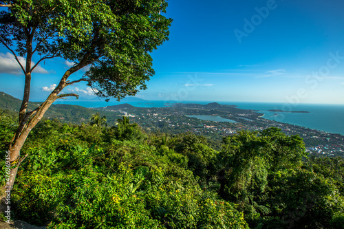 Natural background with a walkway to see the scenery all around, overlooking the sea, trees, clear sky, the beauty of the ecosystem during travelling, the wind blows in a cool blur.