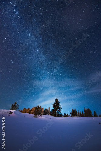Winter forest under beautiful night sky with Milky Way and lot of stars
