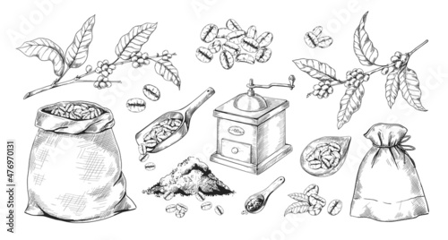Engraved blend coffee. Hand drawn tree branch with beans. Full sack of Arabica and vintage grinder sketch. Aromatic powder heap. Retro mill and spoons. Vector isolated elements set