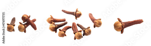 Set of spice clove (Syzygium aromaticum) scattering on white background isolated