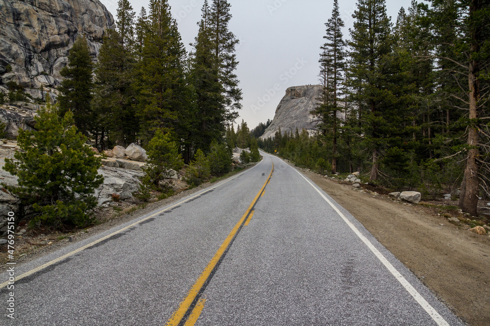Fototapeta premium Yosemite National Park Interior Road