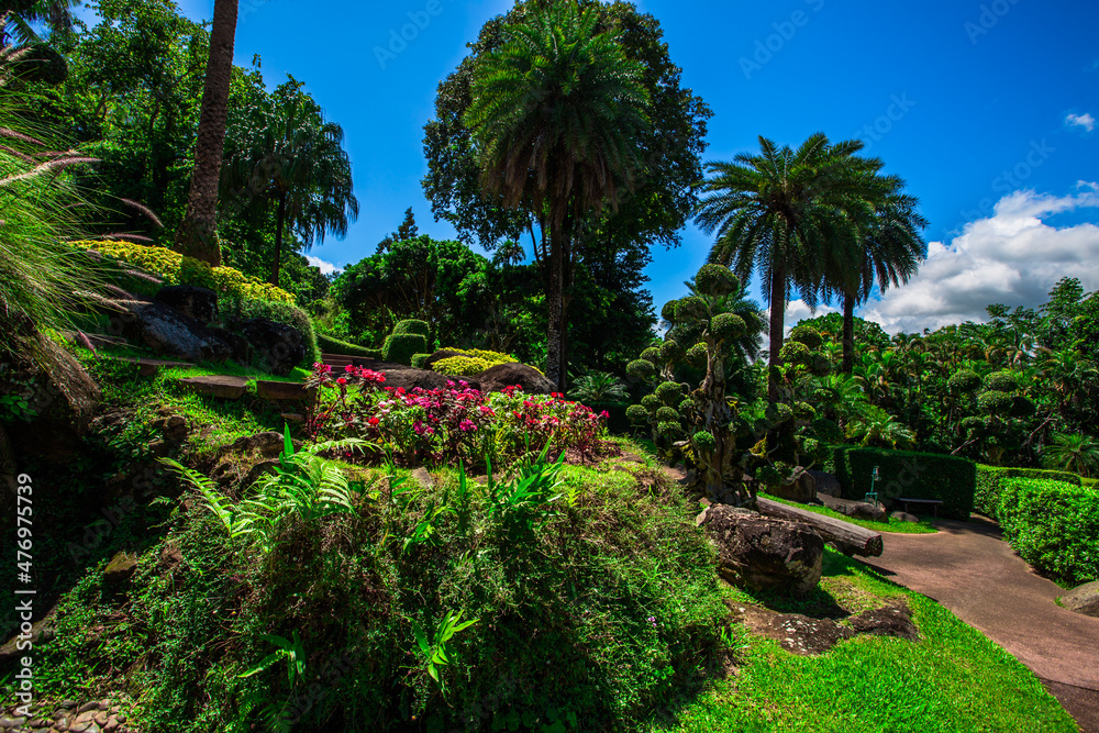 The natural background of colorful flower beds, with chairs to sit and rest while watching the scenery, the wind blows through the blur, cool and comfortable. The natural background of colorful flower beds, with chairs to sit and rest while watching the scenery, the wind blows through the blur, cool and comfortable.