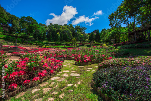 The natural background of colorful flower beds  with chairs to sit and rest while watching the scenery  the wind blows through the blur  cool and comfortable.