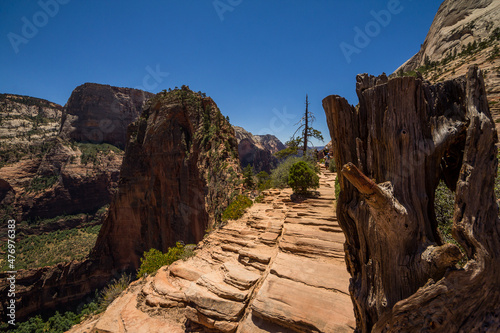 Angel's landing is a rock formation rising nearly 1500 feet from the valley in Zion National Park, Utah.