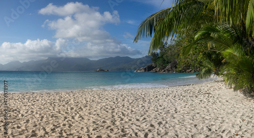 Fototapeta Naklejka Na Ścianę i Meble -  Wide angle high resolution panoramic photo of typical Seychelles landscape. Palm tree hangs over a snow-white beach. In the distance, along the perfect beach, large rocks half-sink into the blue water