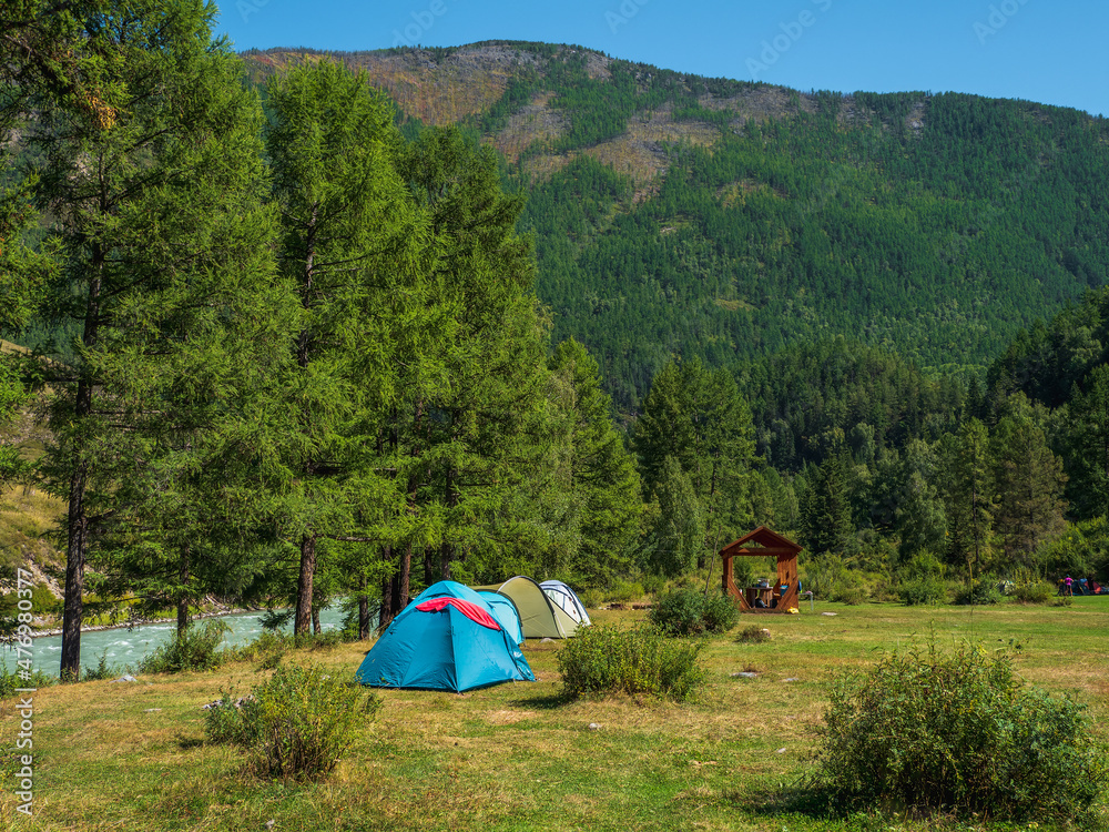 Tourist tents on a green lawn. Collective camping in an eco-friendly green place. Expedition camp in the autumn taiga. Camping in the mountain summer landscape with colorful forest.
