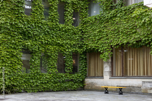 a bench by the walls of a building covered with green plants © metelevan