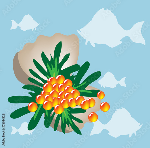 Caviar of red fish on twigs of greenery in a shell against the background of the sea and fish