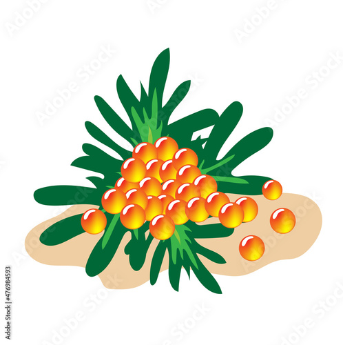 Red fish roe on twigs of greenery and light background