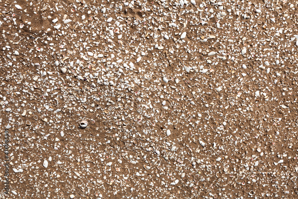 closeup ground texture of crushed shells