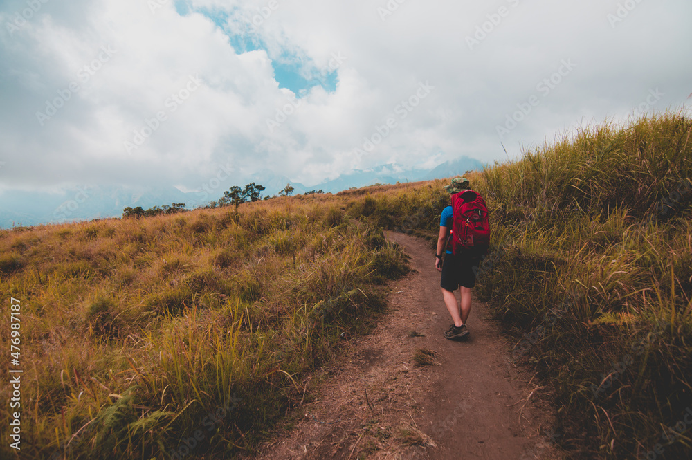 Fototapeta premium person walking in the field
