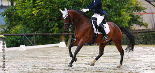 Dressage horse with rider galloping on the diagonal in a dressage test..