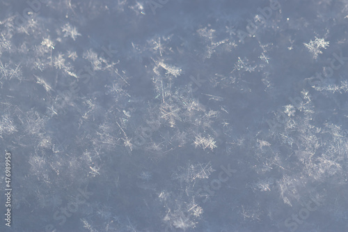 Many snowflakes on a snowfield