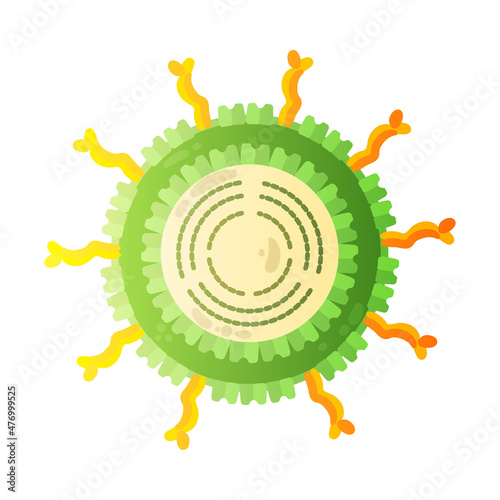 Rotavirus Human Virus Composition