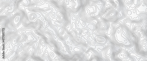 Luxury black abstract line art background vector. wallpaper design for fabric , packaging , web, geographic grid map vector illustration. Salmon fillet texture, fish pattern. 