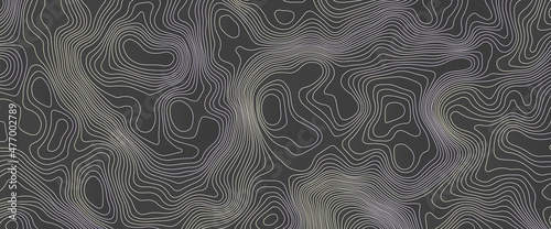Luxury black abstract line art background vector. wallpaper design for fabric , packaging , web, geographic grid map vector illustration. Salmon fillet texture, fish pattern. 