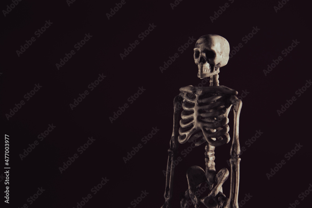Skeleton in dark on black background with copy space. Skeleton in dark on black background with copy space.