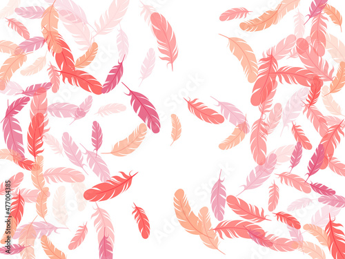 Falling feather elements soft vector design.