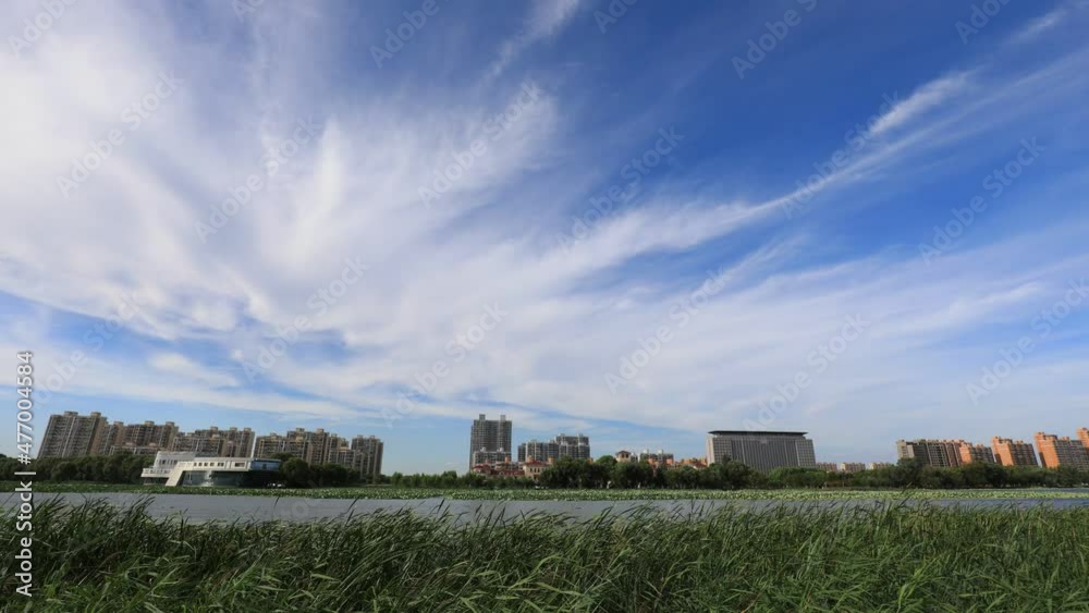 Beautiful waterfront city scenery under blue sky and white clouds, North China Beautiful waterfront city scenery under blue sky and white clouds, North China