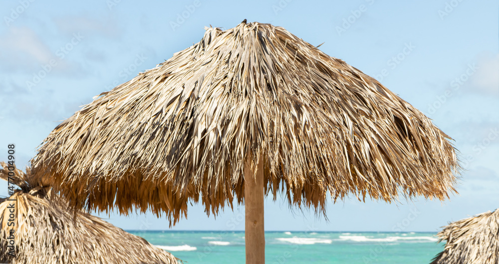 Beach palapa, Beach umbrella, and Caribbean sea.