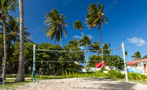 A place for Beach volleyball, palms, and summer. © Barillo_Picture