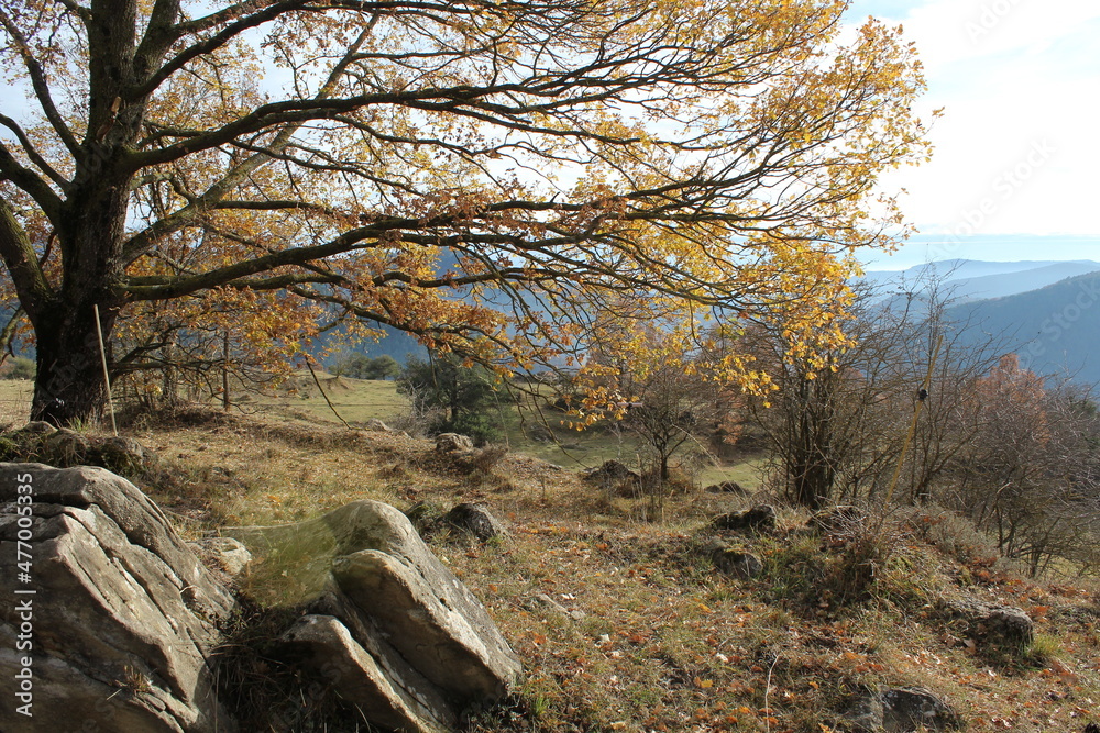 Mountain landscape of The Pyrenees near the small town of Ripoll, Catalonia, Spain, Europe Mountain landscape of The Pyrenees near the small town of Ripoll, Catalonia, Spain, Europe