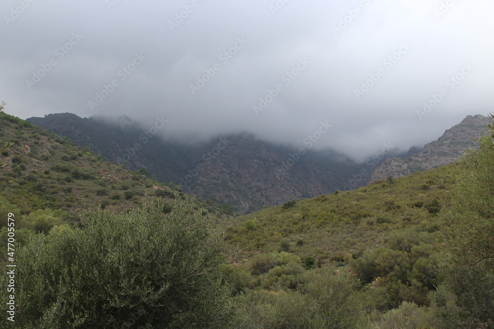 Cloudy day in the mountains Cloudy day in the mountains