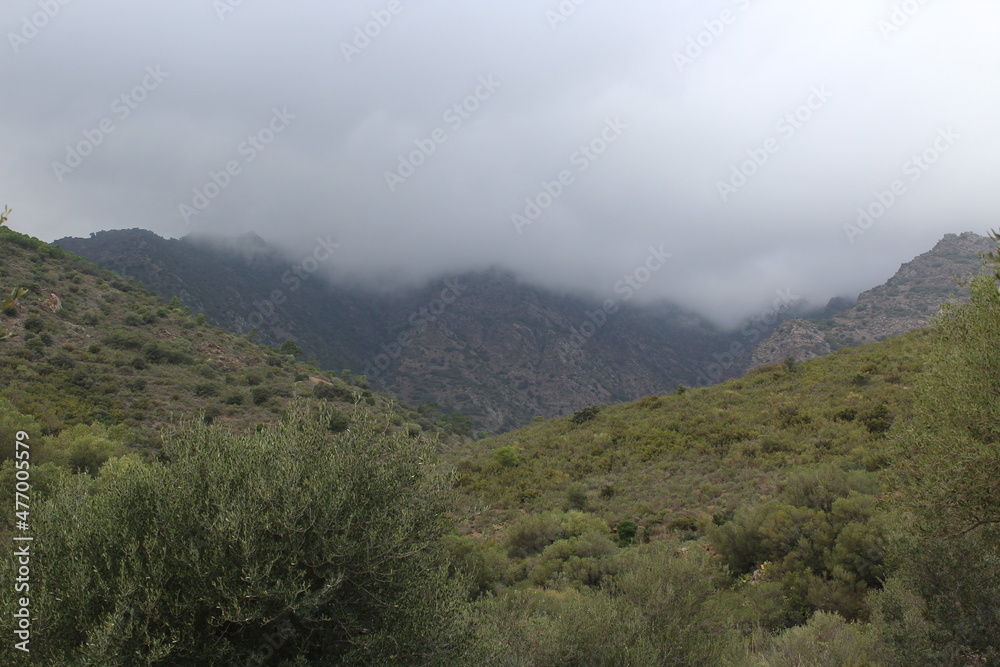 Cloudy day in the mountains