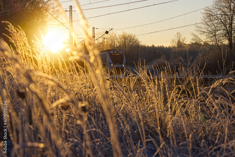 Fototapeta premium The train approaching the station in the winter early morning. Sun and frozen plants in the background. 
