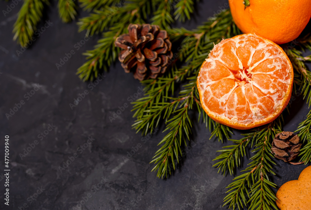 Christmas composition with tangerines on black background, with green spruce tree branch. Flat lay