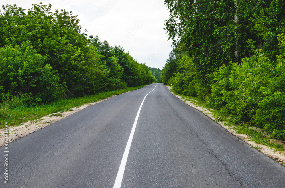 Paved highway that goes into the distance. Solid white reflective stripe on a road surrounded by forest Paved highway that goes into the distance. Solid white reflective stripe on a road surrounded by forest