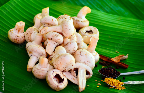 Fresh mushroom with spices and herbs