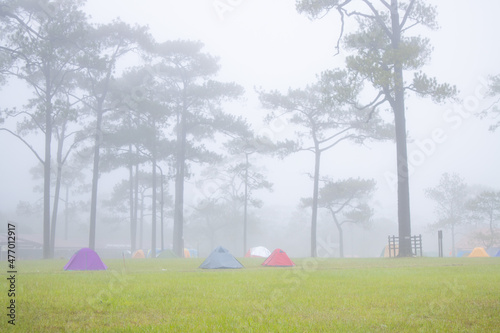 Camping and tent in nature and morning with fog.