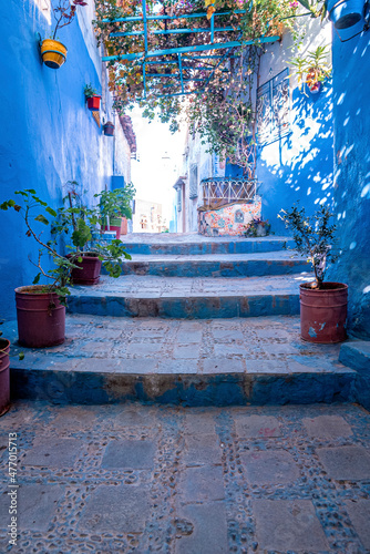 Blue colored residential alley with staircase and potted plants leading to houses on both side © Aerial Film Studio