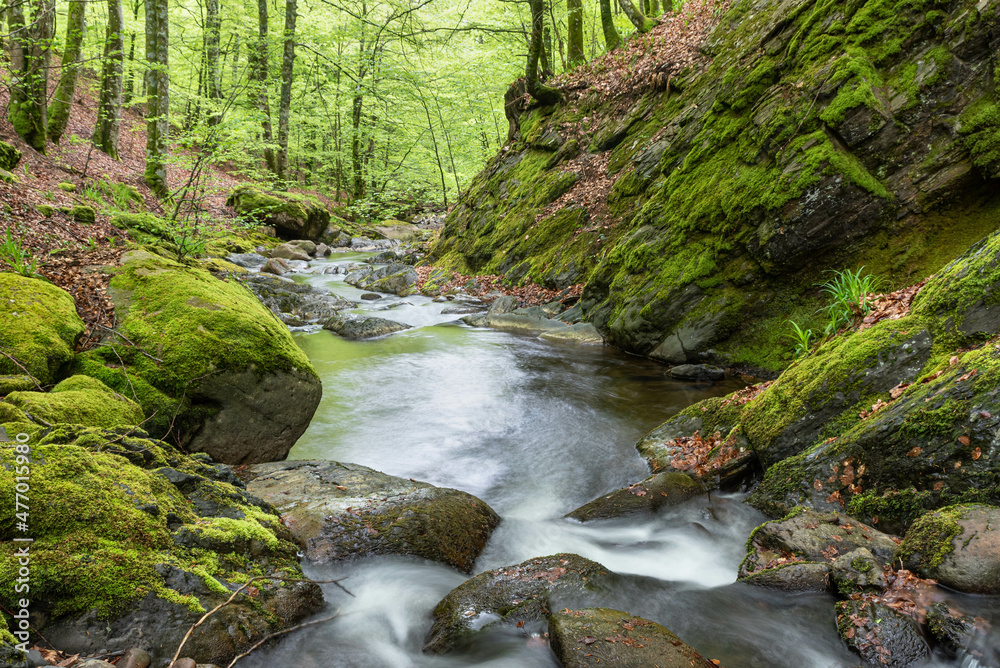 Stream in Spring Stream in Spring