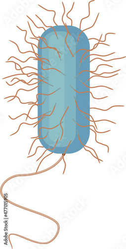 Gram-positive bacterium with flagella and cilia isolated on white background