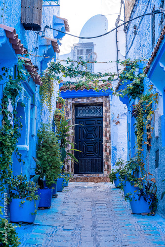 Blue colored residential alley and potted plants leading to houses on both side, the blue city in the Morocco © ingusk