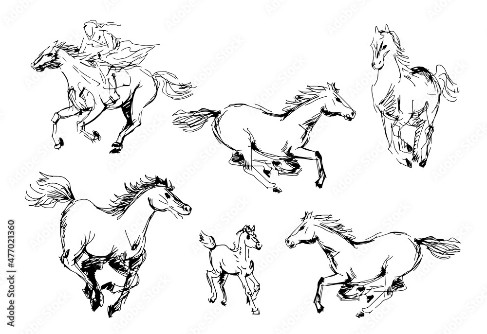 Sketch sketching hand-drawn drawing horse galloping rider graphic. Vector illustration