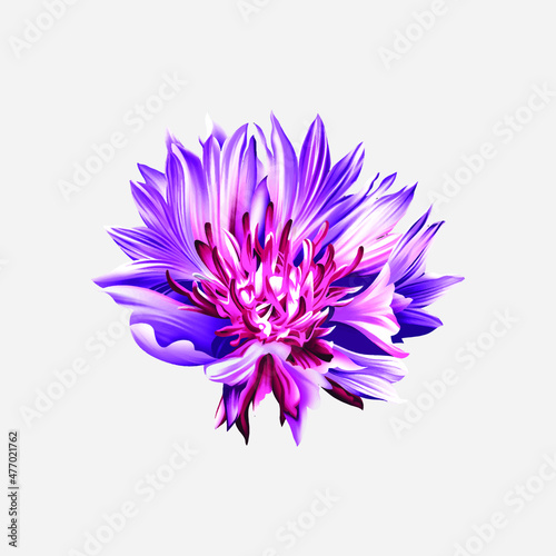 Tela new textile digital design hand drawn watercolor flowers composition floral illu
