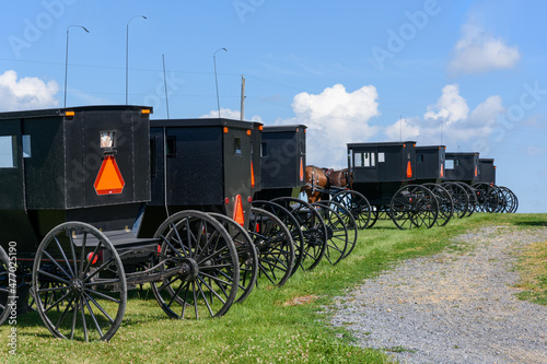 Obraz na plátně Amish horse and carriages parked together