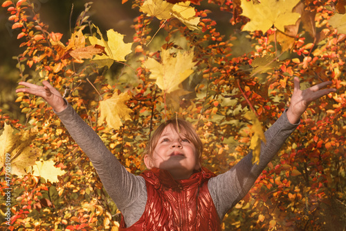 A young girl throws up a bouquet of autumn leaves. The child plays and enjoys autumn in the forest.