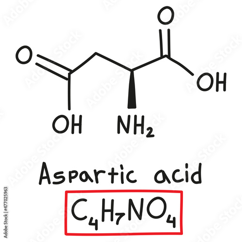Hand drawn chemical molecular formula of amino aspartic acid in doodle style isolated photo