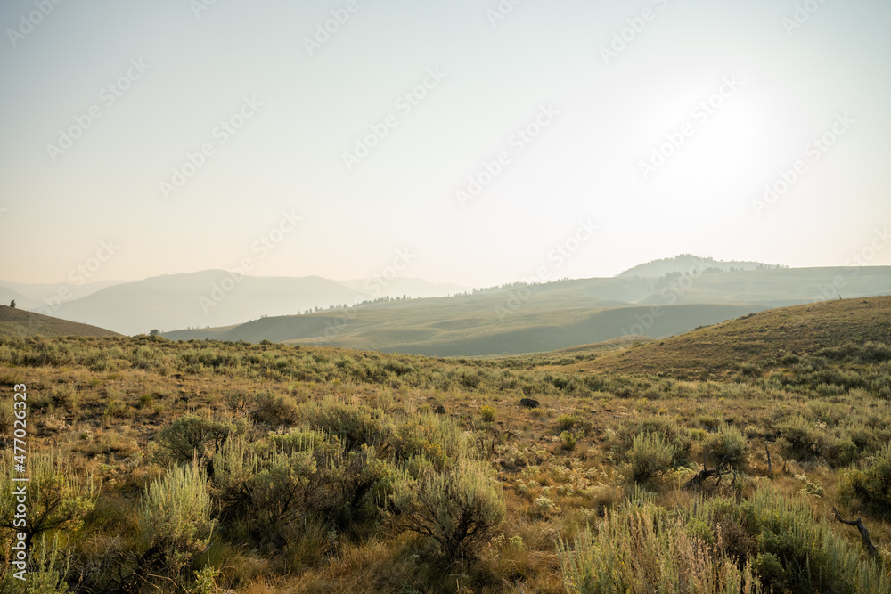 Morning Haze Over the Rolling Hills of Yellowstone
