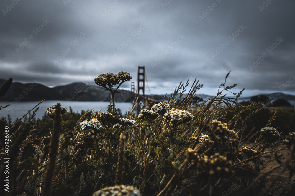 clouds over the sea