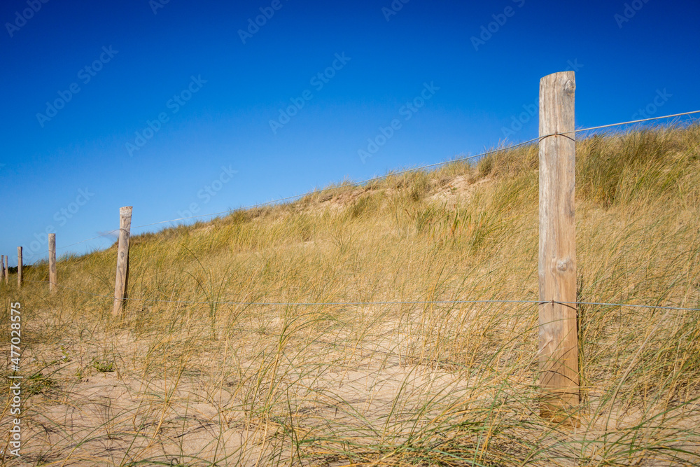 Fototapeta premium Sand dune and fence on a beach, Re Island, France