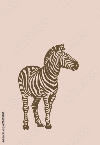 Vector vintage illustration of zebra stands and watches distance  abstract skin   savanna wild animal  