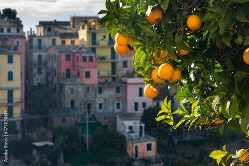 oranges with Italian buildings